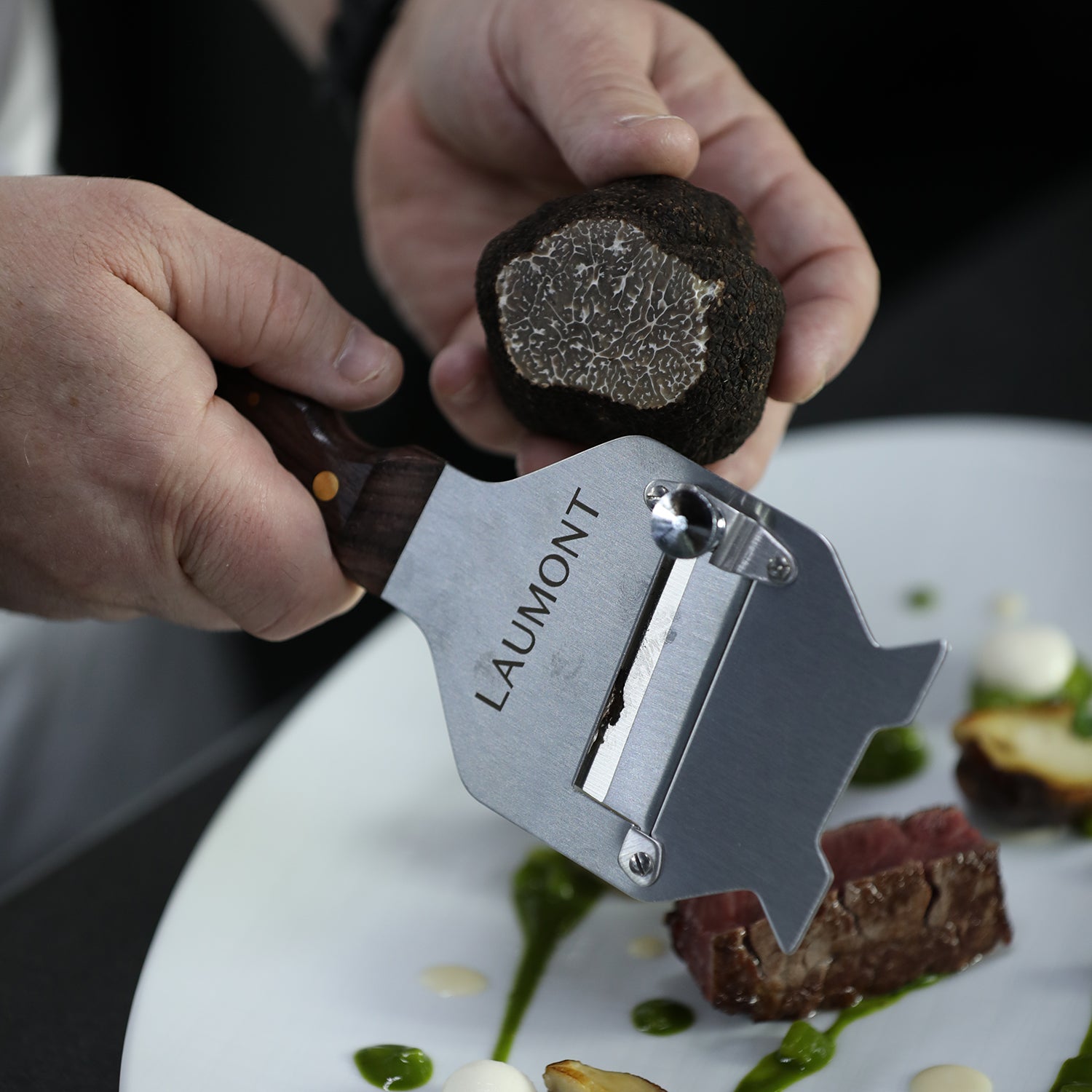 Black Truffle - Tuber Melanosporum