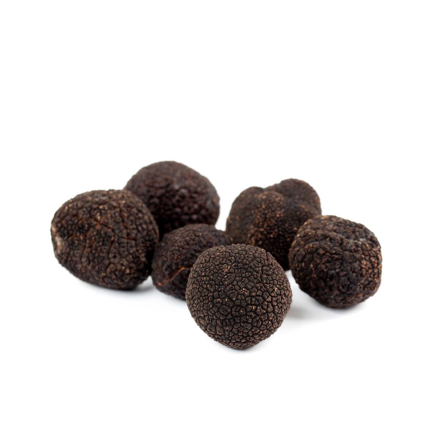 Black Truffle - Tuber Melanosporum