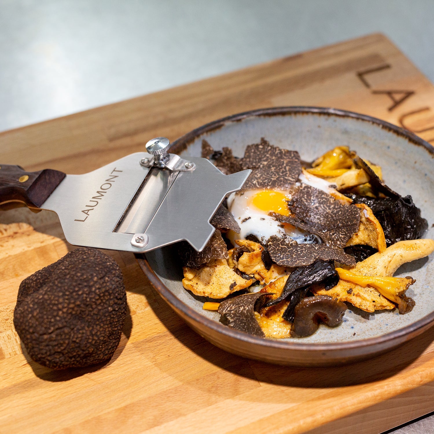 Black Truffle - Tuber Melanosporum