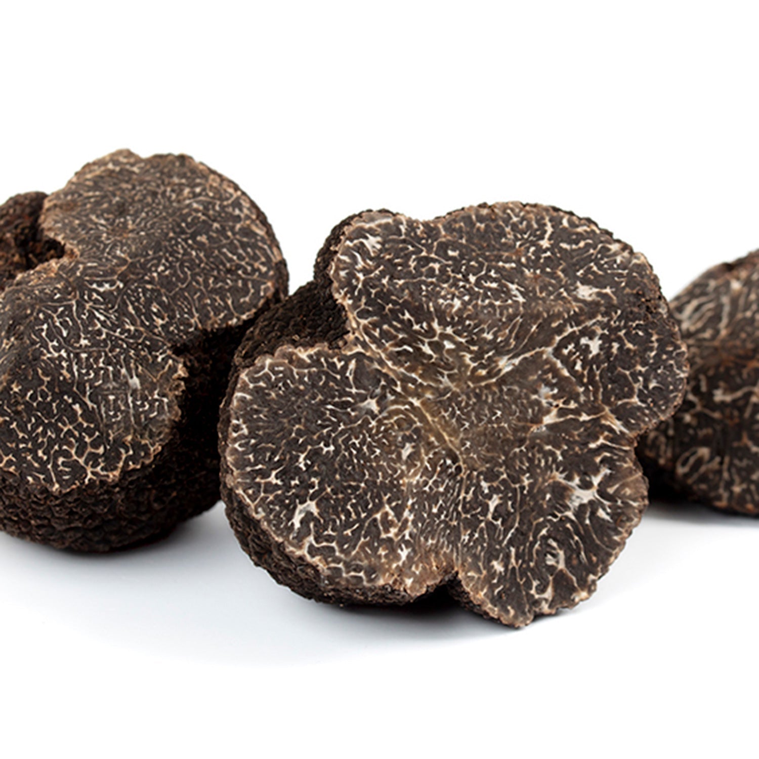 Black Truffle - Tuber Melanosporum