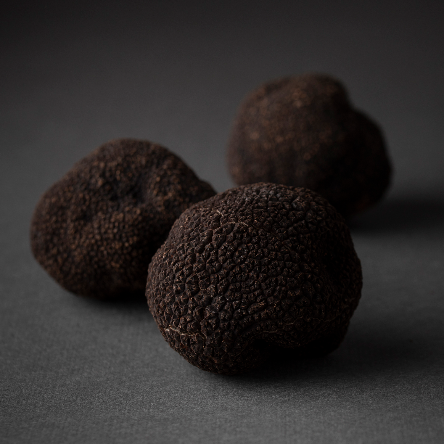 Black Truffle - Tuber Melanosporum