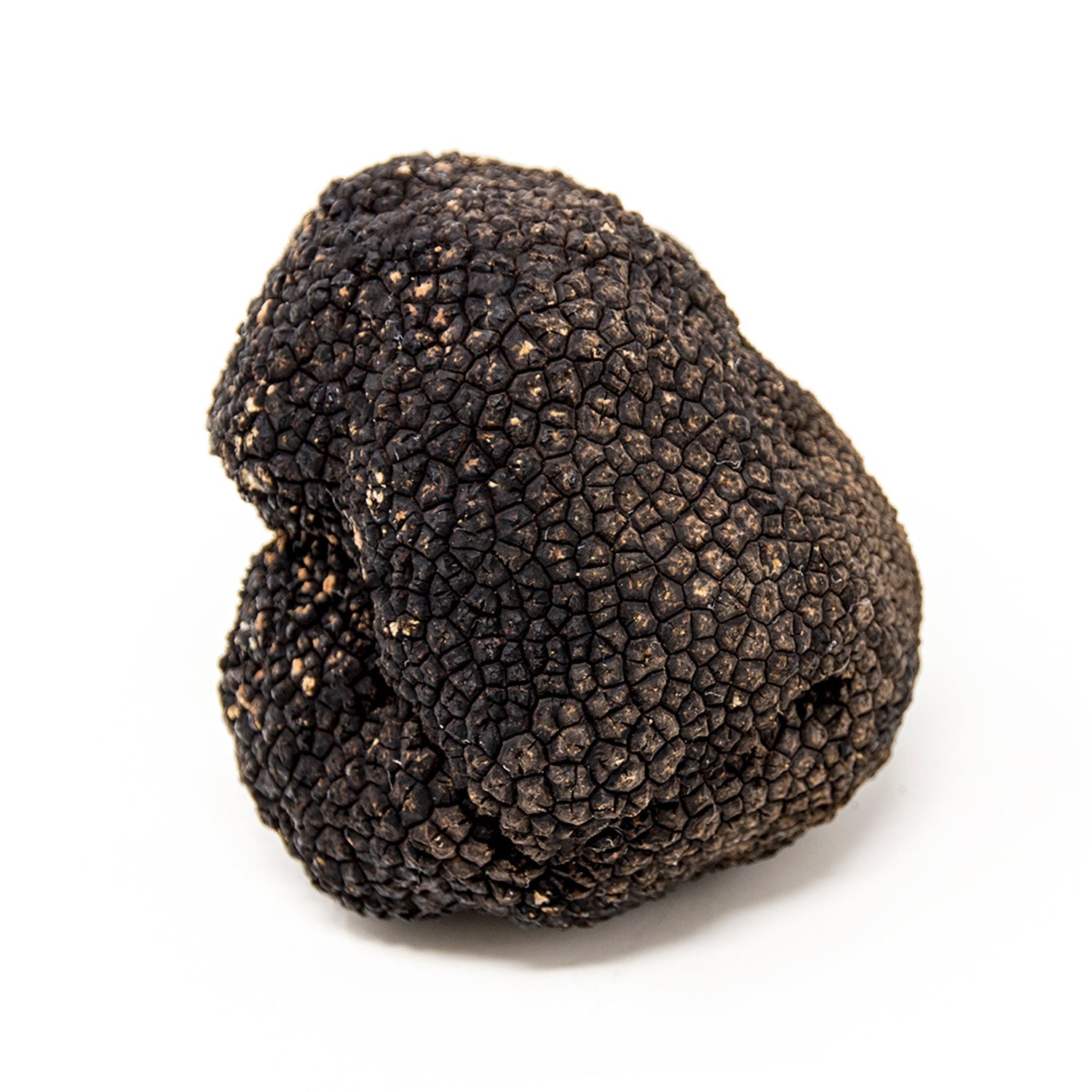 Summer Truffle - Tuber Aestivum
