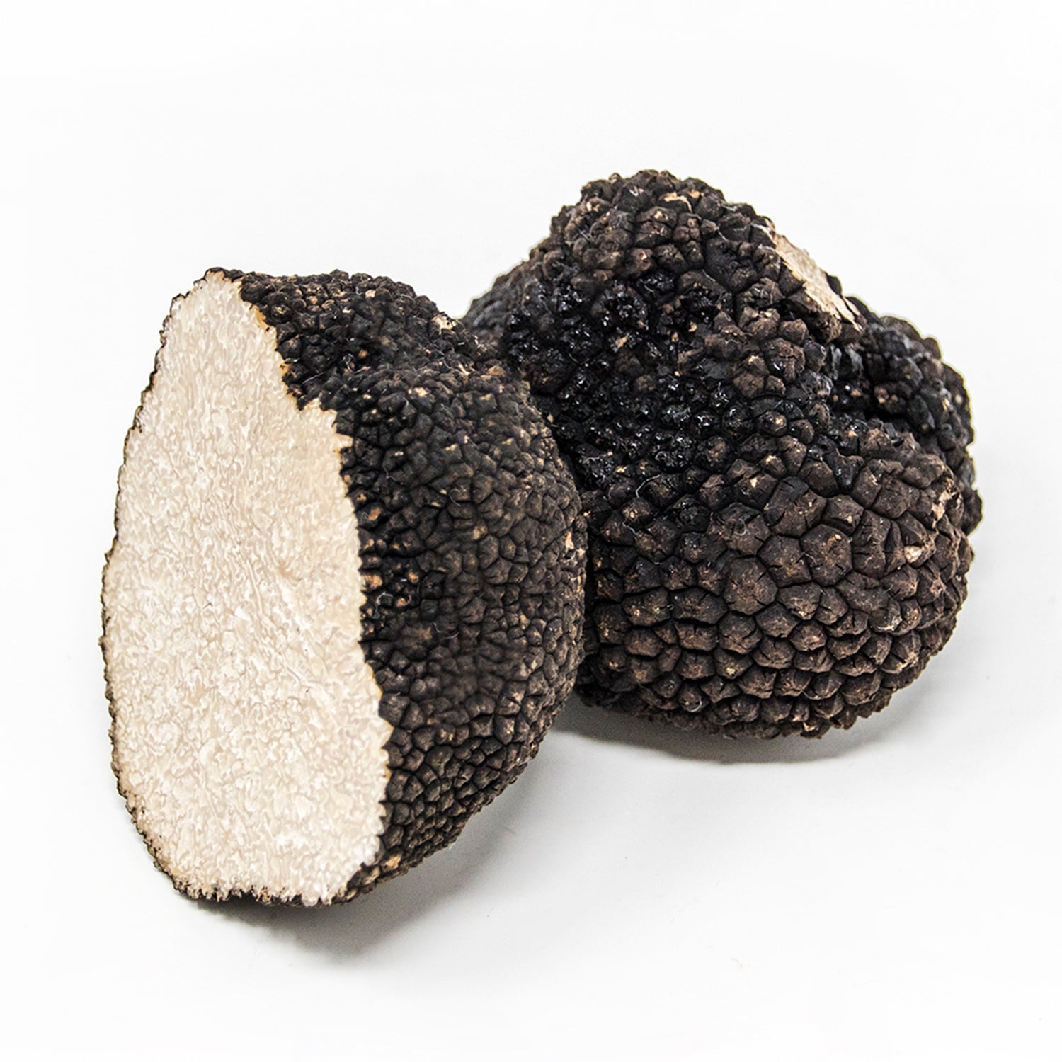 Summer Truffle - Tuber Aestivum