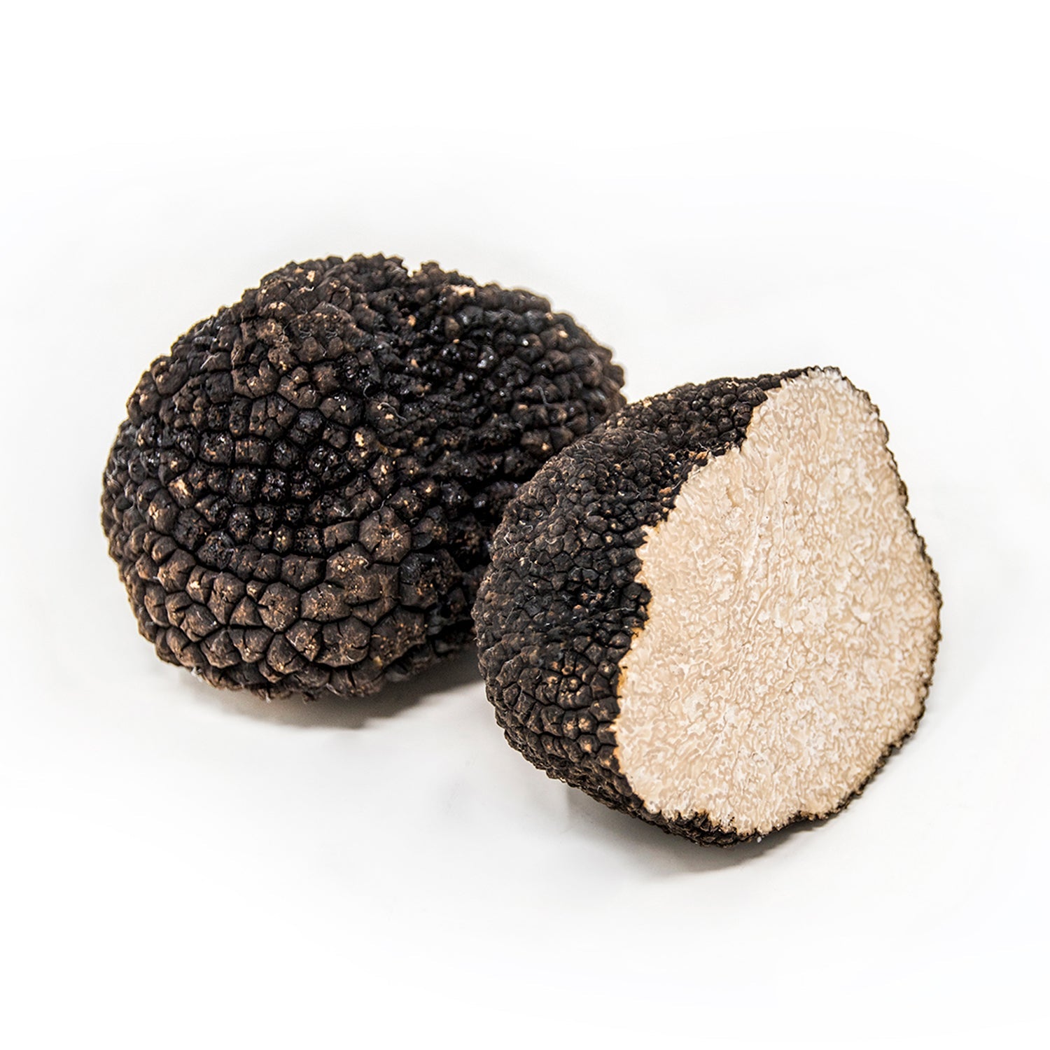 Summer Truffle - Tuber Aestivum