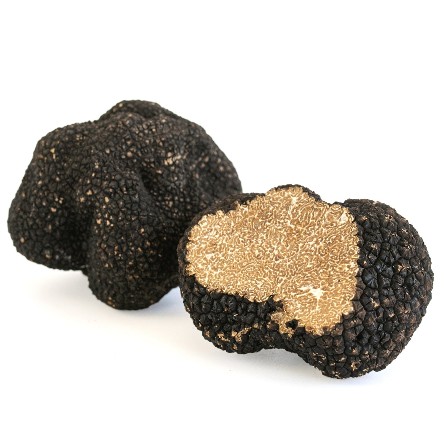 Autumn Truffle - Tuber Uncinatum