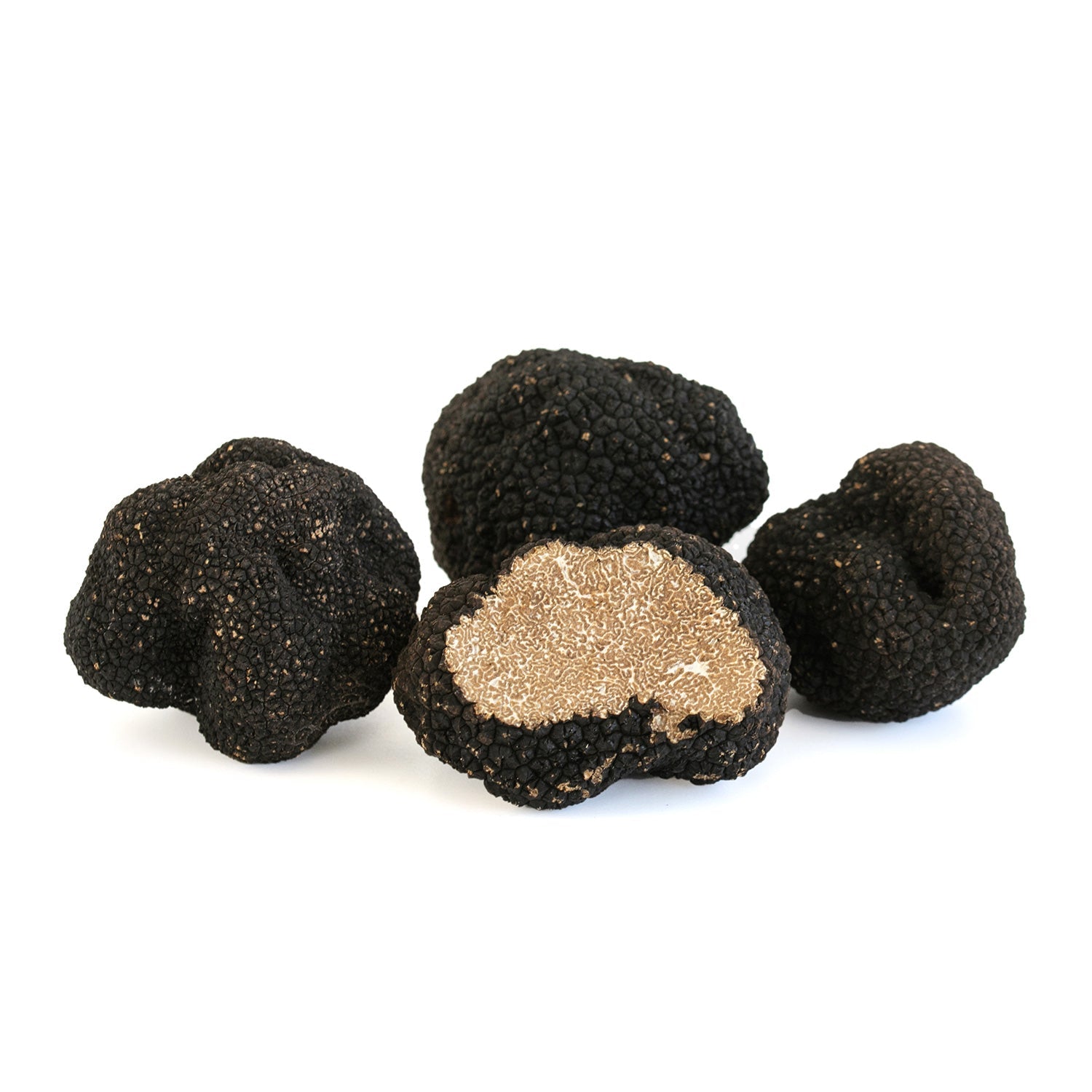Autumn Truffle - Tuber Uncinatum