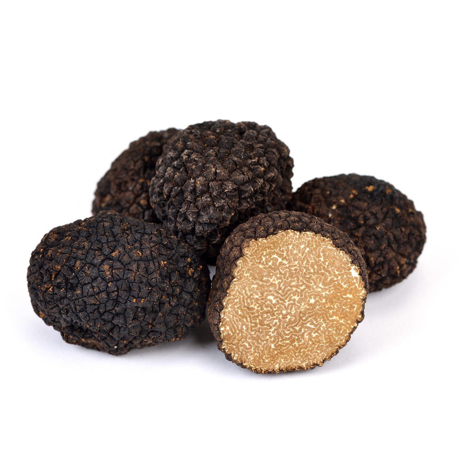 Autumn Truffle - Tuber Uncinatum