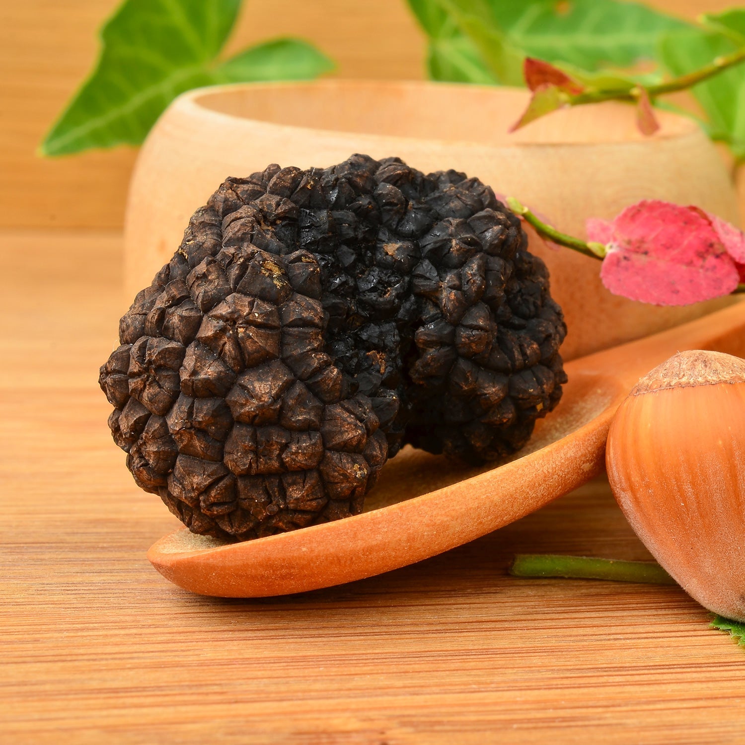 Autumn Truffle - Tuber Uncinatum