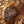 Load image into Gallery viewer, Black Truffle - Tuber Melanosporum
