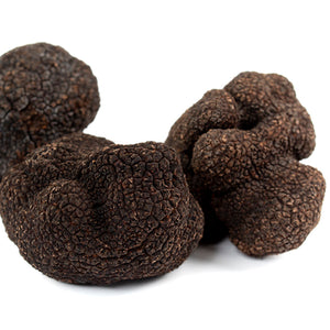 Black Truffle - Tuber Melanosporum