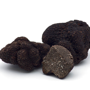 Black Truffle - Tuber Melanosporum