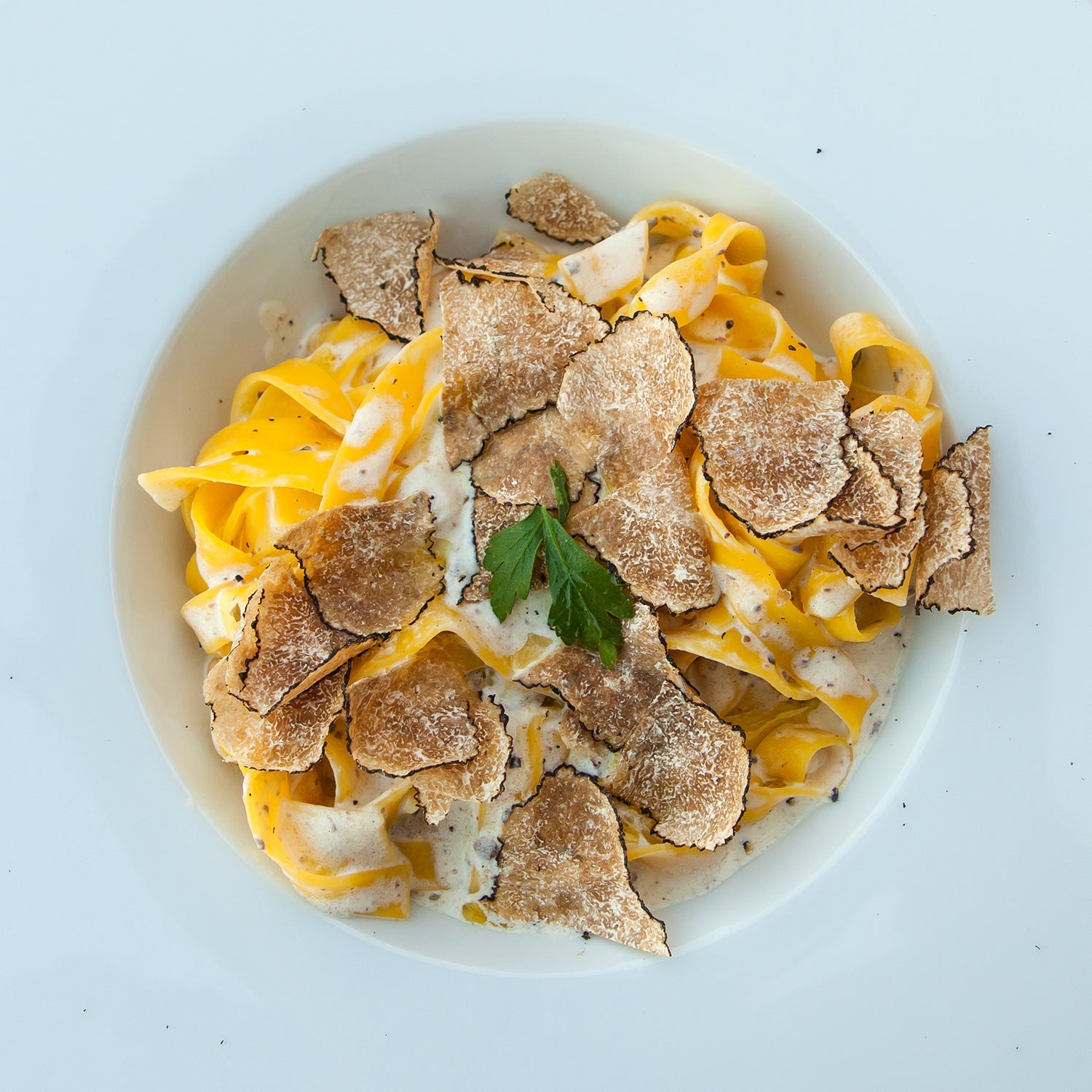 White Truffle - Tuber Magnatum