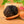 Load image into Gallery viewer, Autumn Truffle - Tuber Uncinatum
